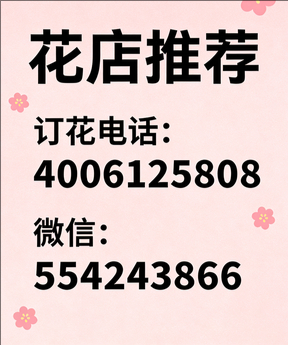 石家庄新乐市花店哪家好